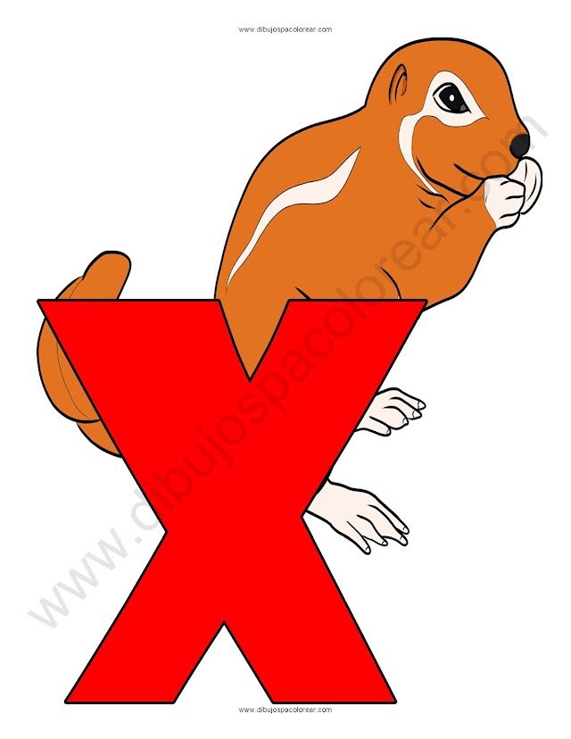 Letra X Xerus abecedario dibujo a color y para colorear